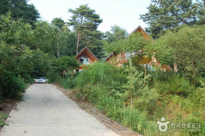 Jucheongang Recreational Forest (주천강자연휴양림)