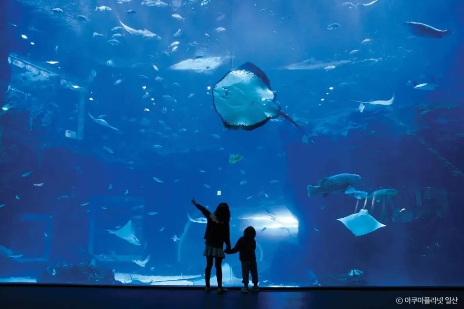 Aqua Planet Ilsan (아쿠아플라넷 일산)