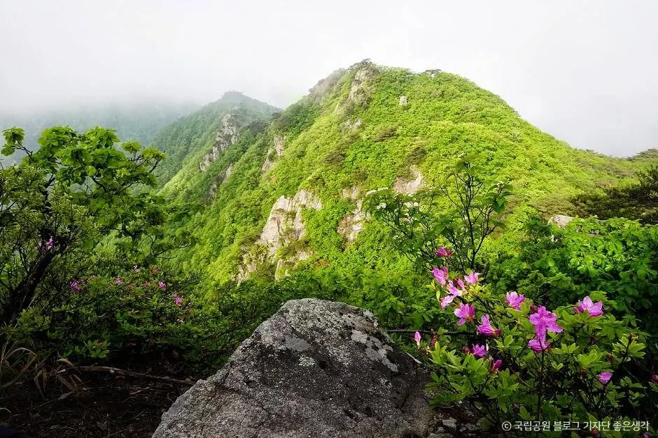 Gyeryongsan National Park (계룡산국립공원)