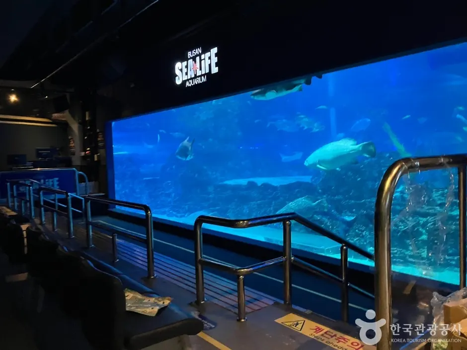 SEA LIFE Busan Aquarium (씨라이프부산아쿠아리움)