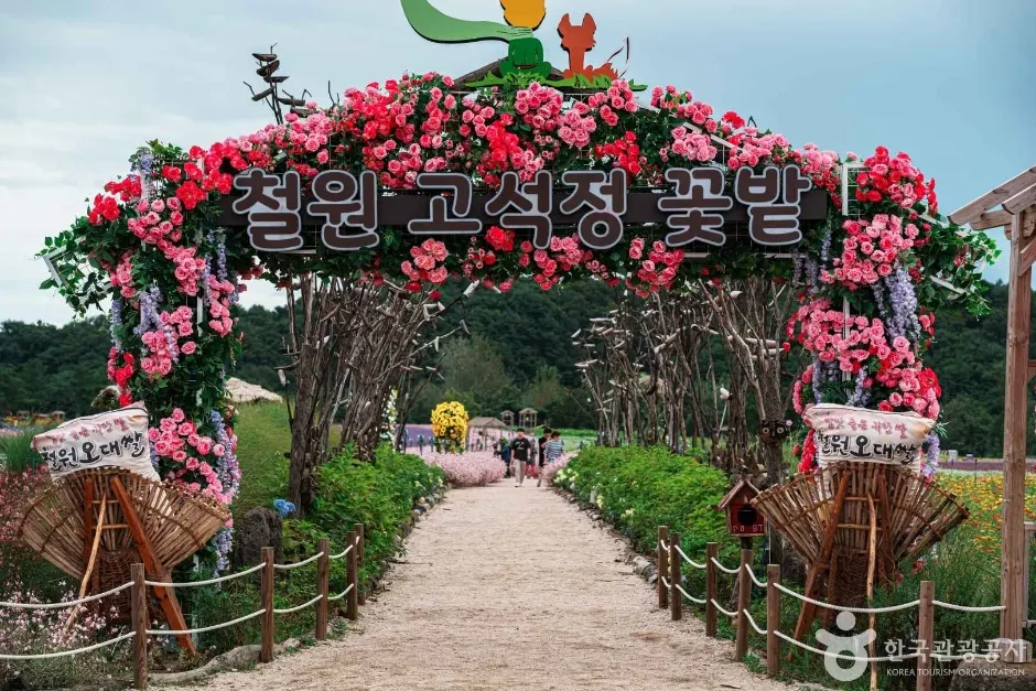 7 Gangwon Nature Escapes Beyond the Coast