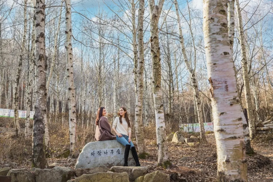 National Center for Forest Therapy, Gimcheon (국립김천치유의숲)