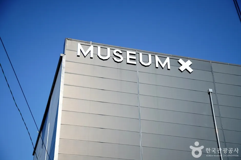 Museum X (뮤지엄엑스)