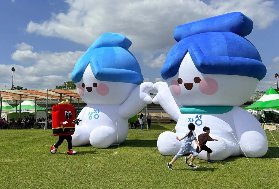 Jangseong Hwangryonggang Autumn Flower Festival (장성 황룡강 가을꽃축제)