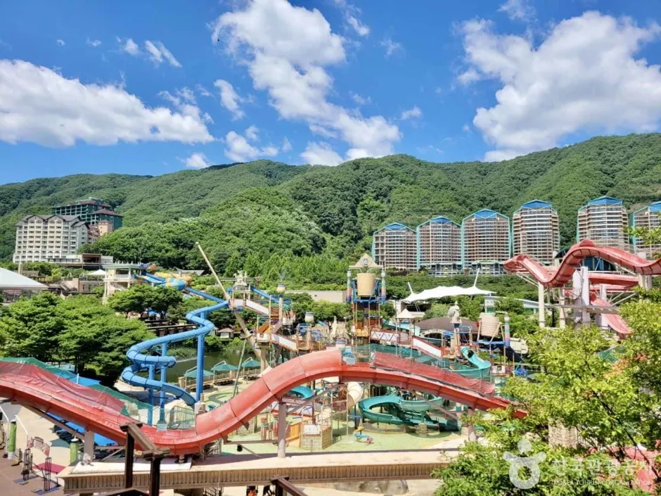 Ocean World (오션월드)
