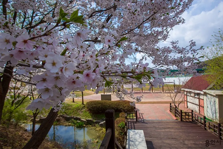 Giheunghosu Lake Park Pet Playground (기흥호수공원 반려동물놀이터)
