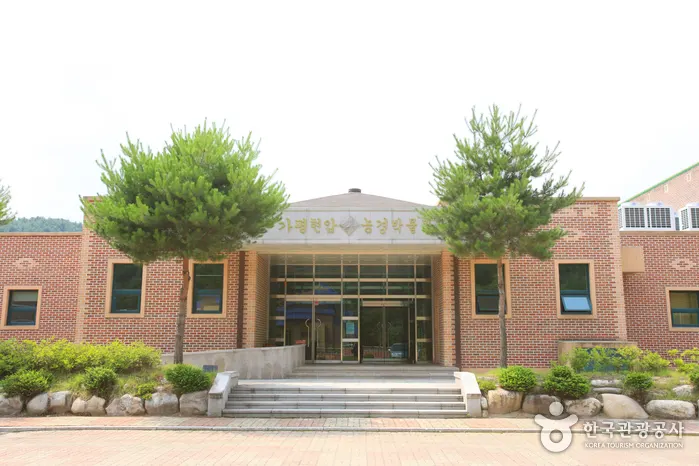 4 Gyeonggi Museums for Focused Half-Day Visits