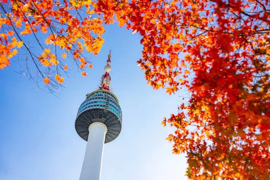 N Seoul Tower: Four Ways Up Namsan