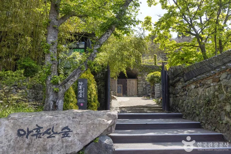 Ahopsan Forest (아홉산숲)