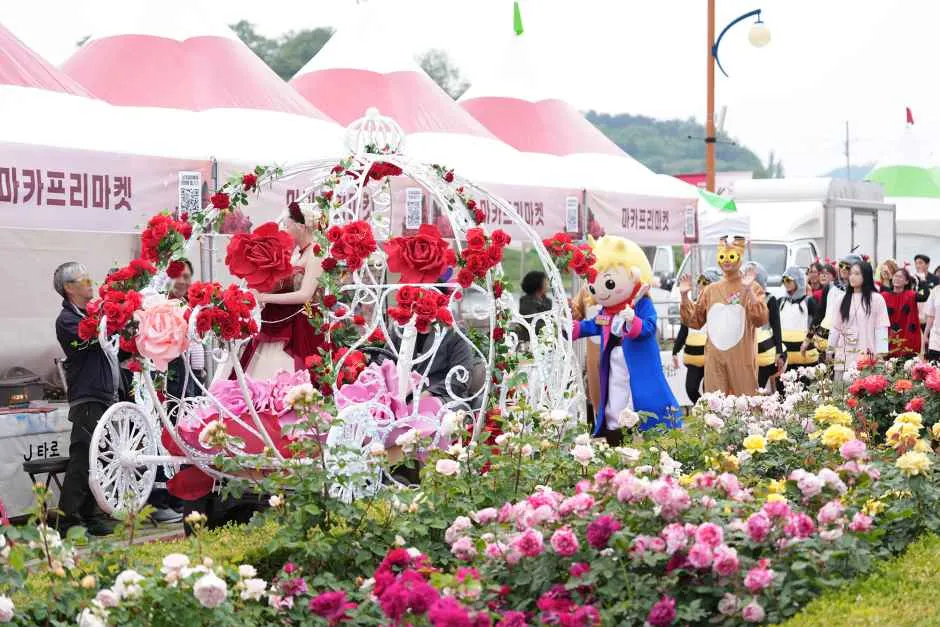 4 Gangwon Festivals: History, Books, and Arts