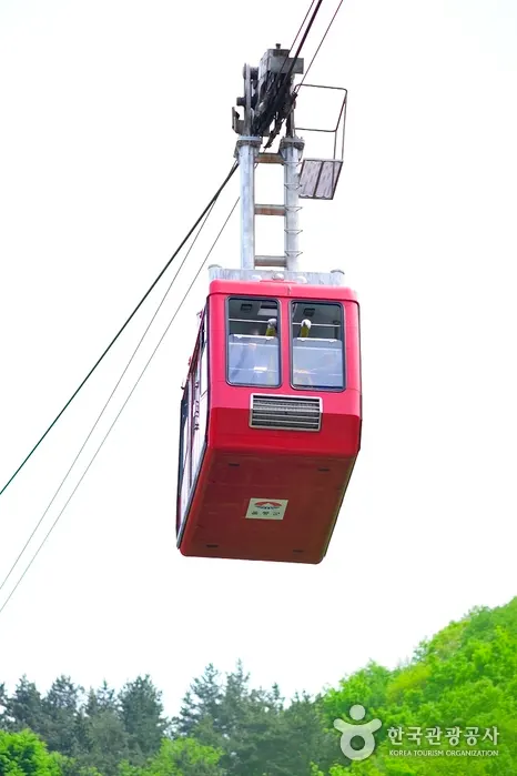 Dokdo Observatory Cable Car (독도전망대 케이블카)