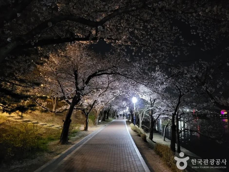 Bomunho Lake (보문호)