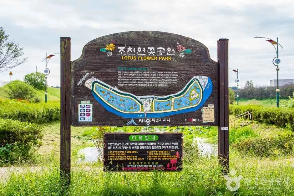 Jocheon Lotus Park (조천연꽃공원)