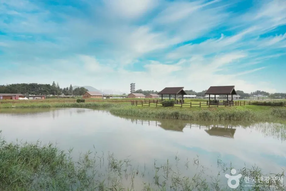 Siheung Gaetgol Eco Park (시흥 갯골생태공원)