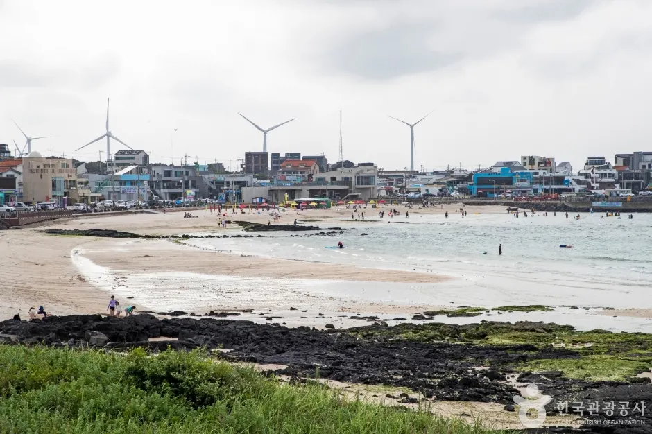 Woljeongri Beach (월정리해변(월정리해수욕장))