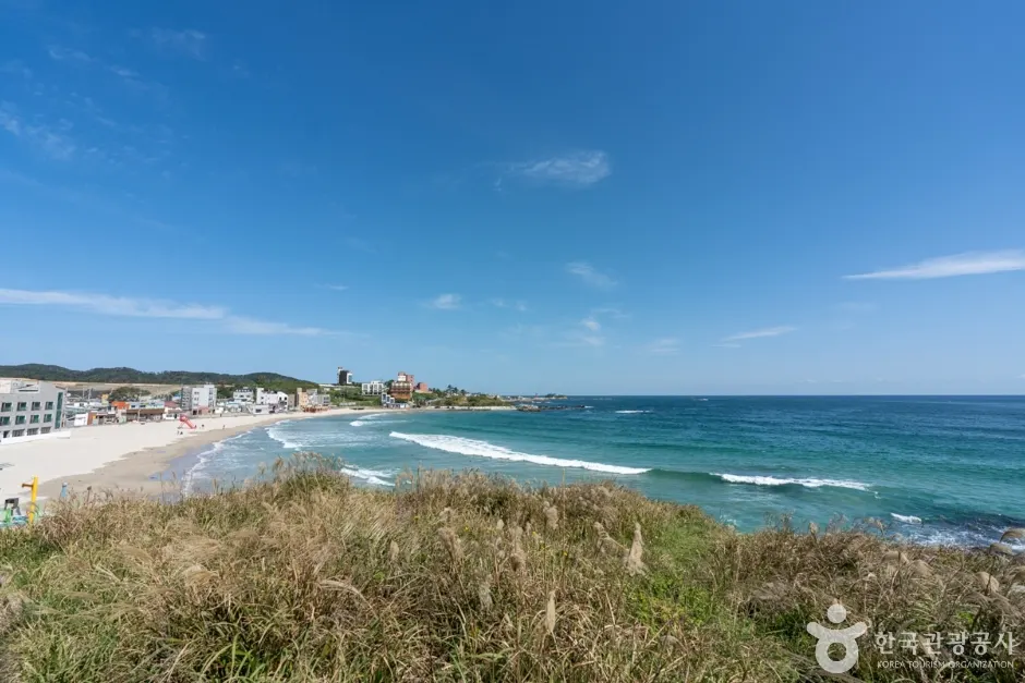 Guryongpo Beach (구룡포해수욕장)