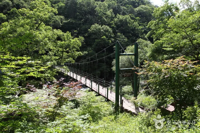 Gongjaksan Mountain (공작산)