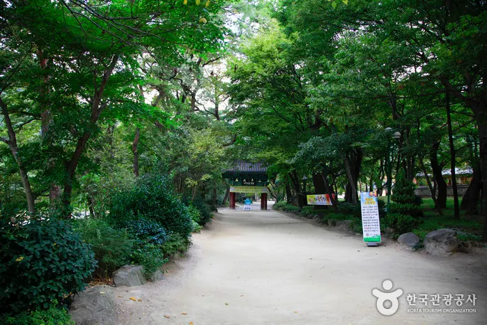 Naeyeonsan Bogyeongsa Municipal Park (내연산보경사시립공원)